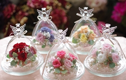 arrange-ipfa1-mix.JPG