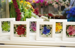 arrange-ipfa5-mix2.JPG